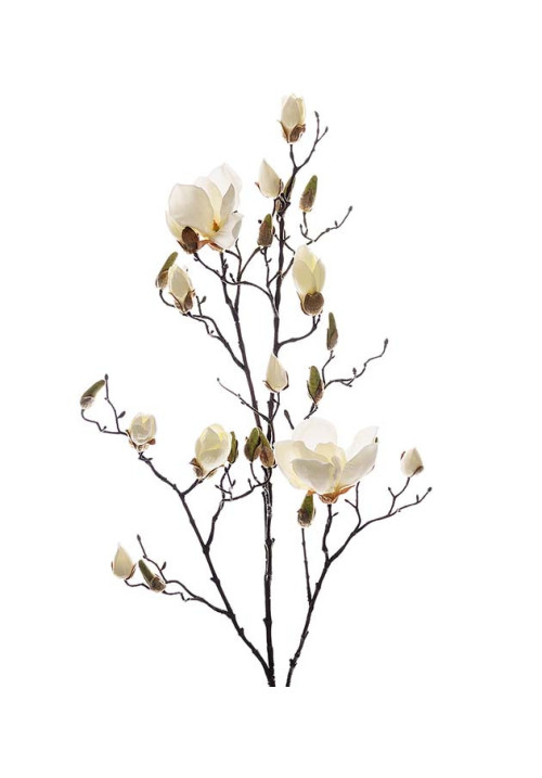 Magnolia artificial