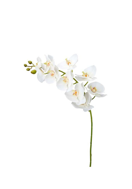 Phalaenopsis artificial blanca