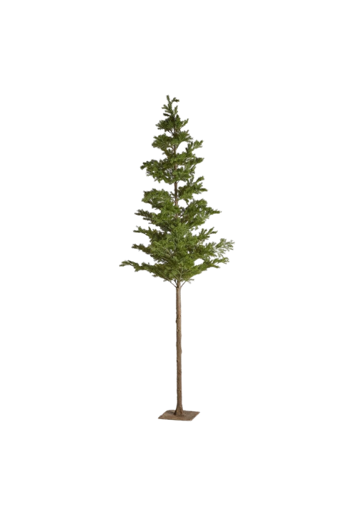 Pino Picea artificial 