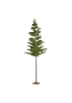 Pino Picea artificial 